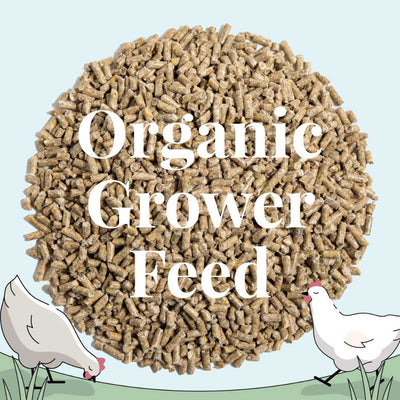 Pellet Grower organic grower feed