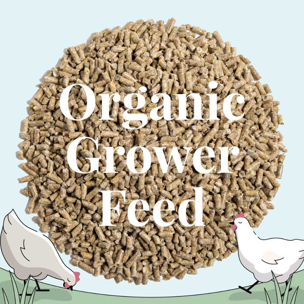 Pellet Grower organic grower feed