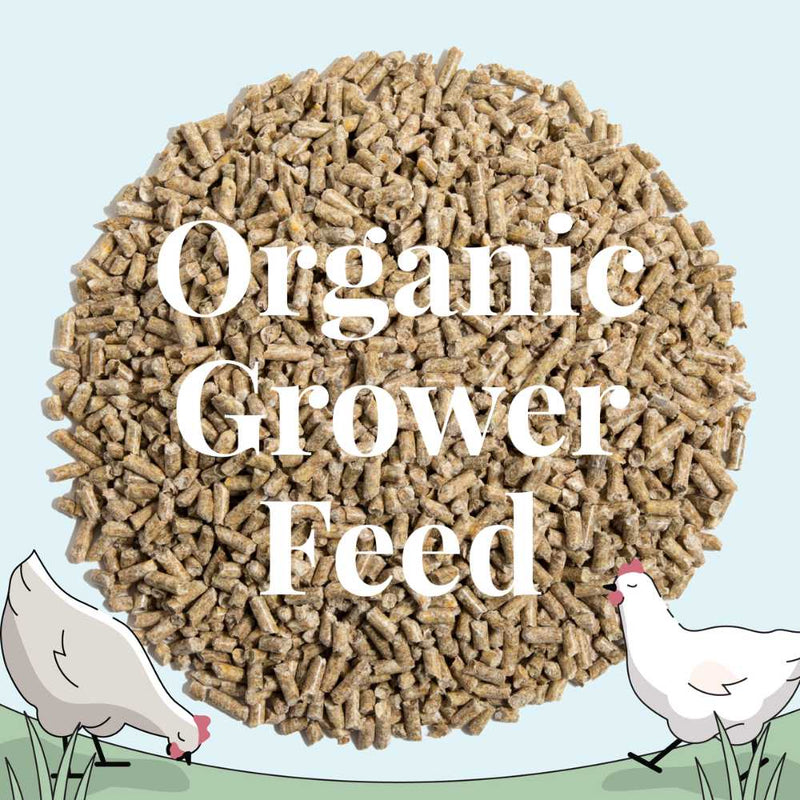 Pellet Grower organic grower feed