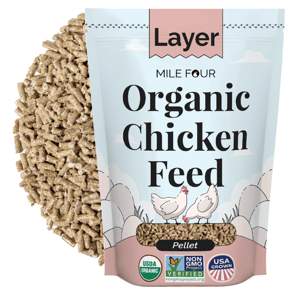 Mile Four Layer Organic Chicken Feed, 16% Protein, Mash