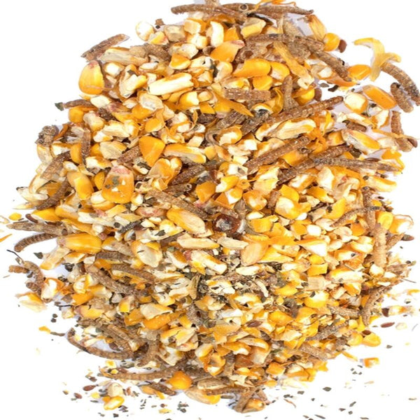Poultry Queen treat blend for pet chickens, packed with protein and omega-rich flax