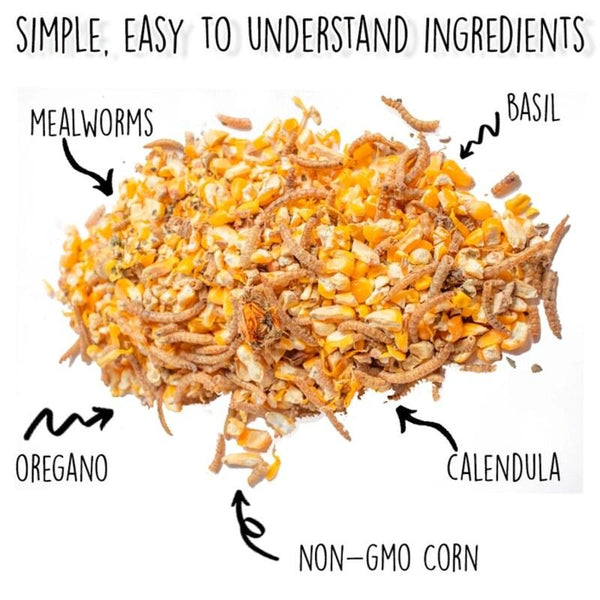 Natural chicken treat mix with non-GMO ingredients and mealworms for backyard flocks