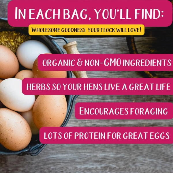 PowerHen high-protein chicken treat with mealworms, black soldier fly larvae, and herbs