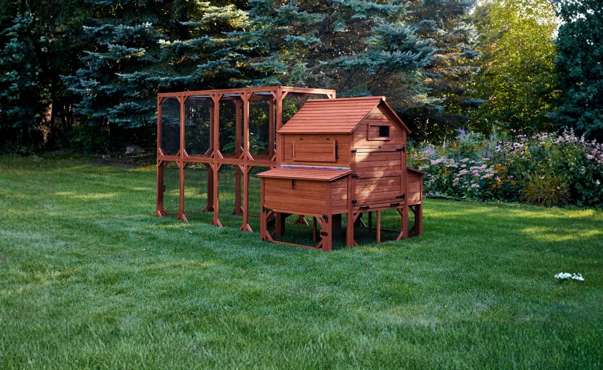 Raised wooden chicken coop with large walk-in run, secure latches, and elevated nesting area for backyard chickens