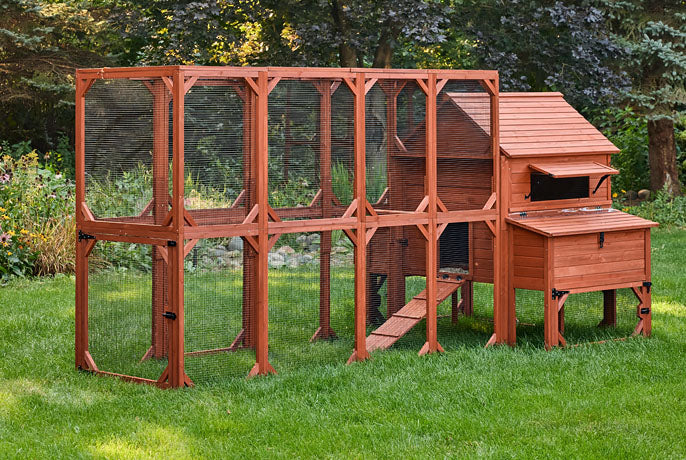 Chicken Coop for 10 Chickens – Rhode Island Homestead Coop with Run Extension Options