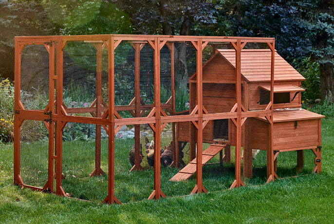 Chicken Coop for 10 Chickens – Rhode Island Homestead Coop with Run Extension Options