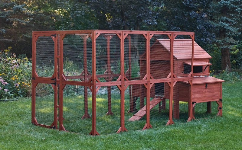 Chicken Coop for 10 Chickens – Rhode Island Homestead Coop with Run Extension Options