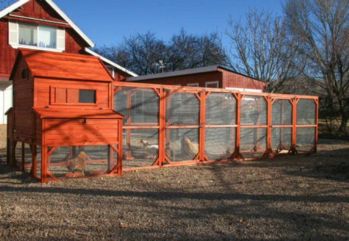 Chicken Coop large
