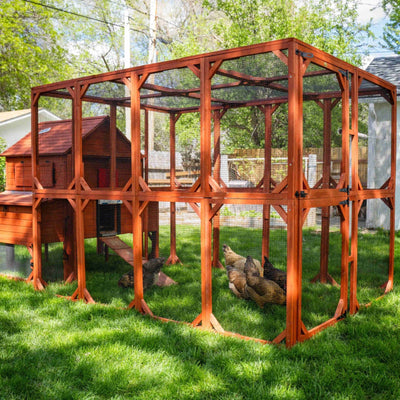 Wooden chicken coop with a wire mesh run, sitting in a lush