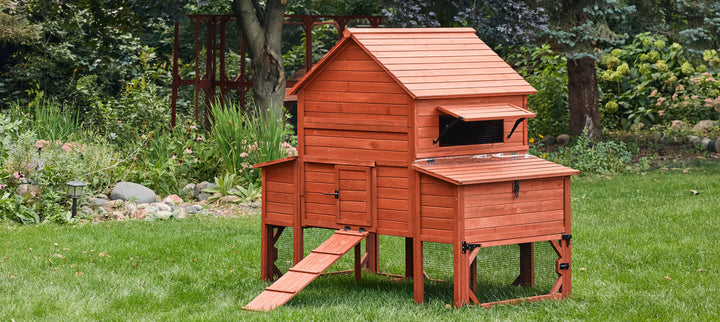 Chicken Coop for 10 Chickens - Rhode Island Homestead (Hen House Only)