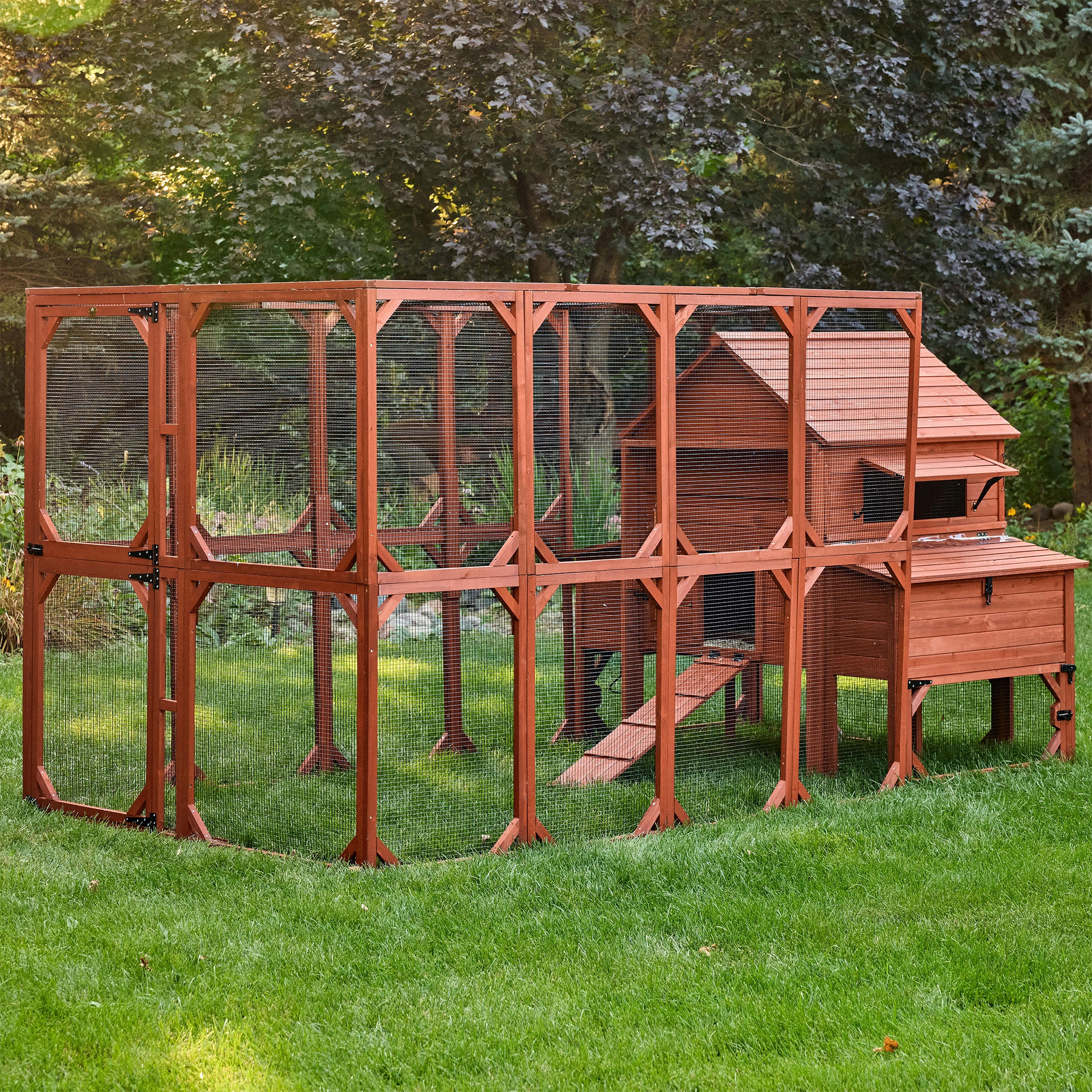 Chicken Coop for 10 Chickens – Rhode Island Homestead Coop with Run Extension Options