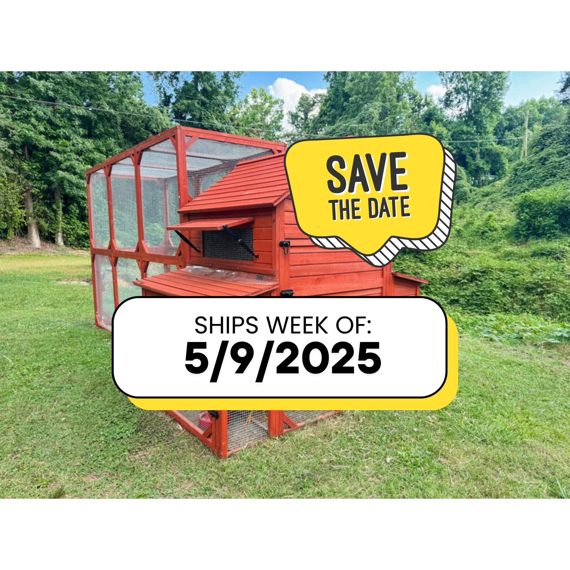 Spacious chicken coop without run, Rhode Island Homestead model for secure hen housing