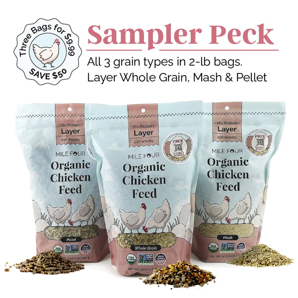 Mile Four Organic Layer Feed, 16% protein, corn-free, soy-free, and non-medicated for healthy layer chickens