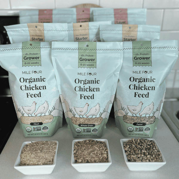 Sample pack of Mile Four's organic grower feed, ideal for backyard chickens, made with 100% US-grown grains