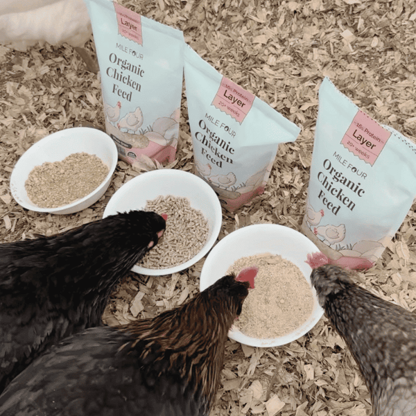 Mile Four Organic Layer Feed, made from 100% US-grown grains, certified organic and non-GMO