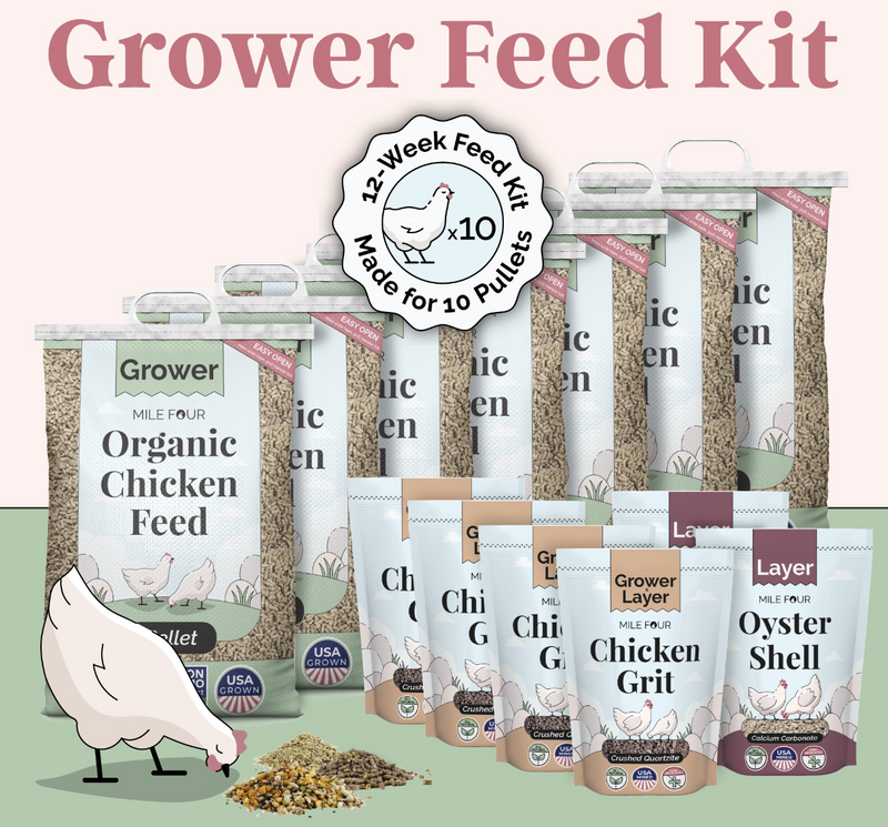 Grower Feed Kit | 12 Weeks of Organic Feed & Grit for 10 Pullets