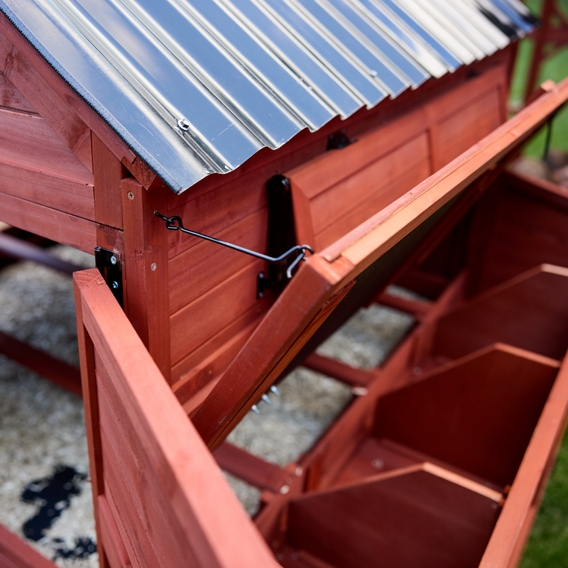 Orpington Lodge Chicken Coop