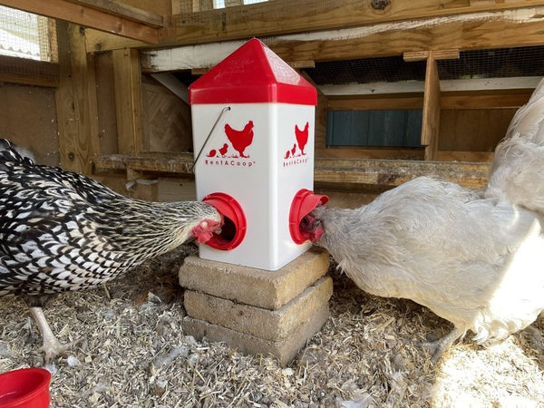 5lb Chick2Chicken BPA-Free 2-Port Chicken Feeder