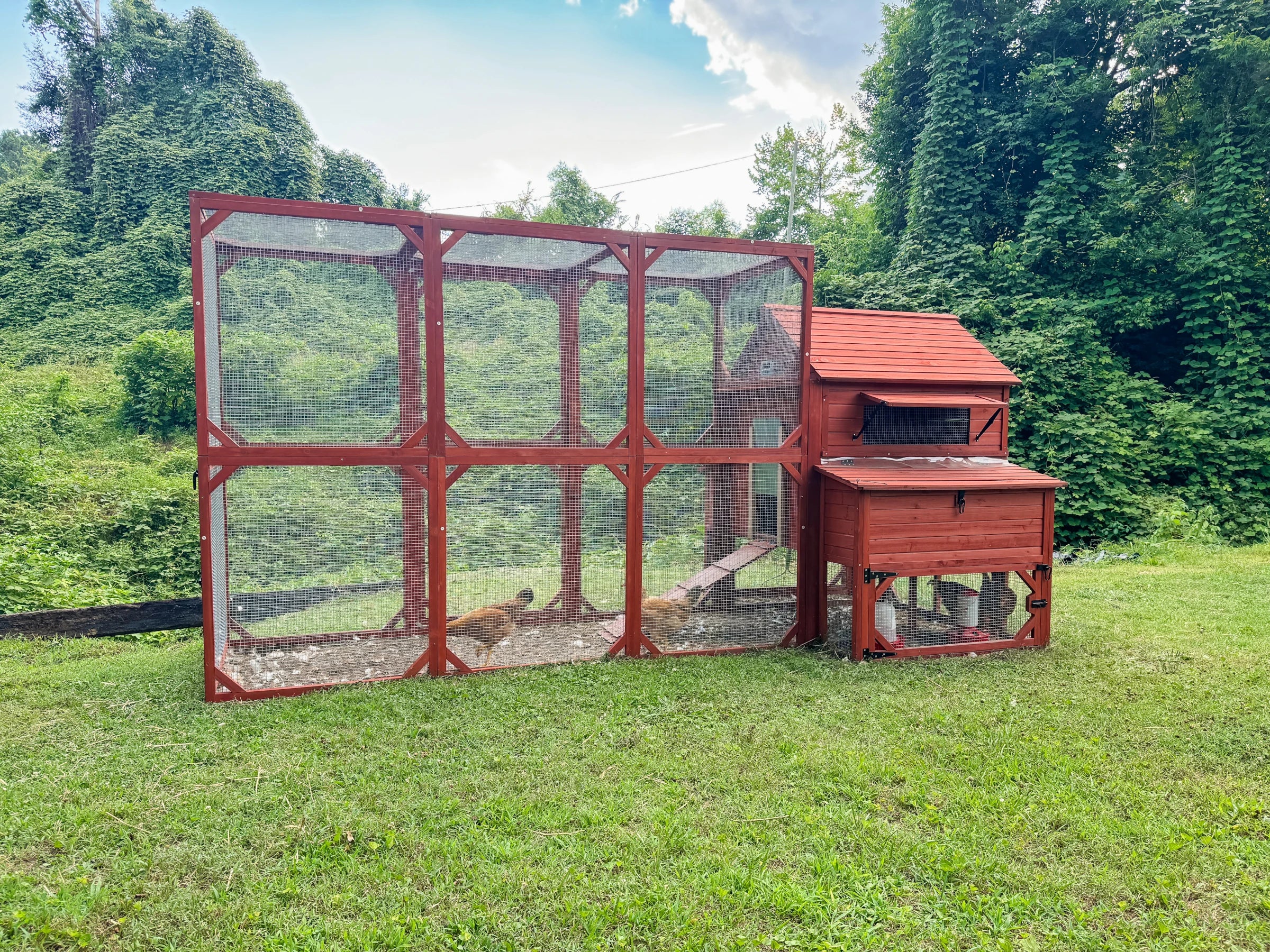 Large best chicken coop