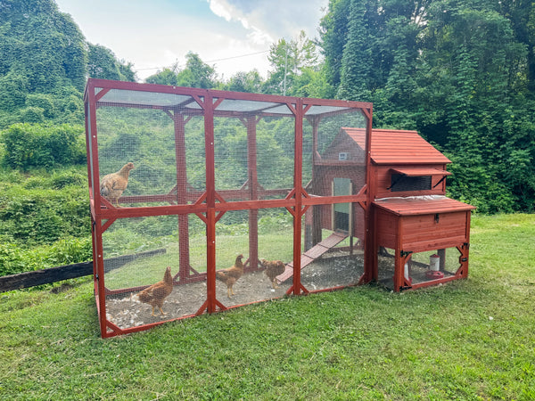 Safe, secure, and ready to make Happy Chickens, this is the Hen House.