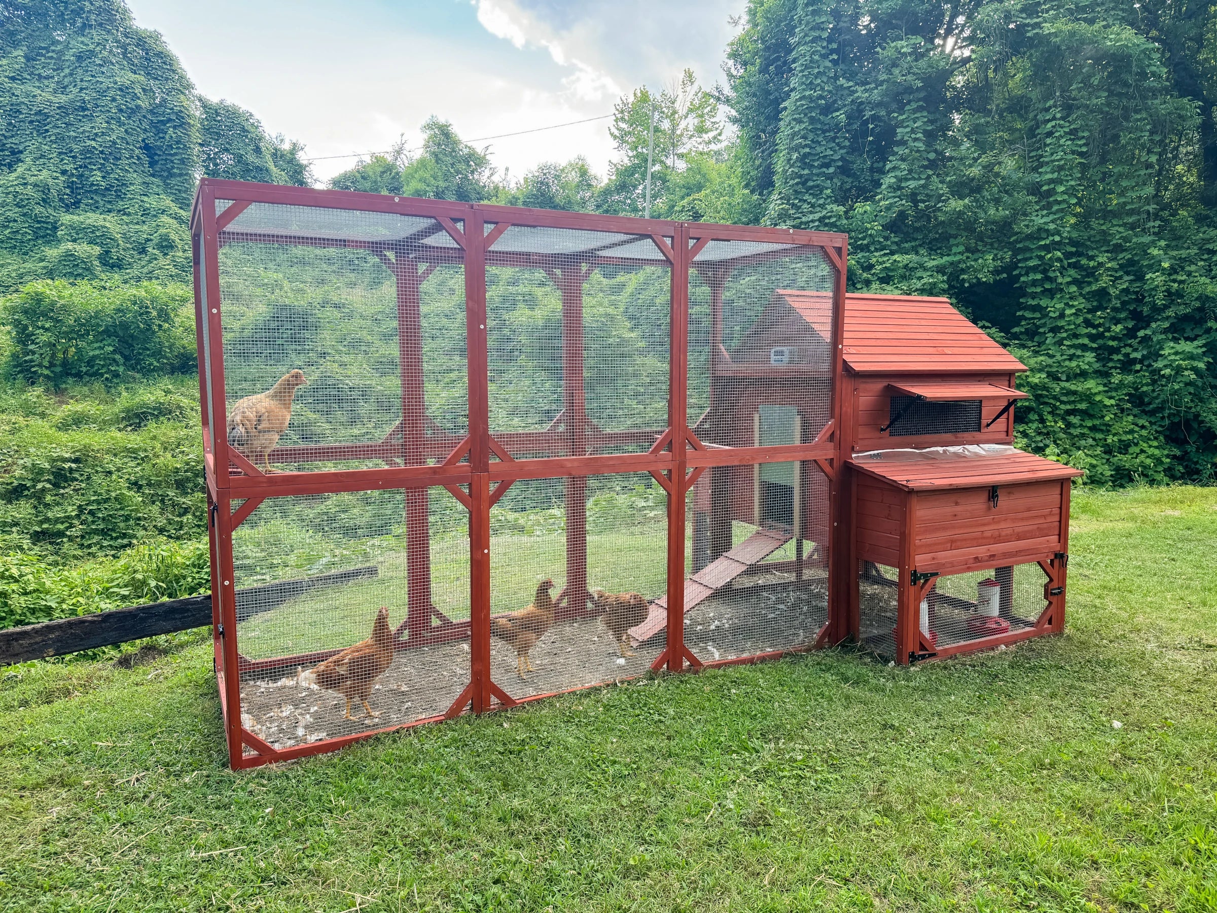 Safe, secure, and ready to make Happy Chickens, this is the Hen House only