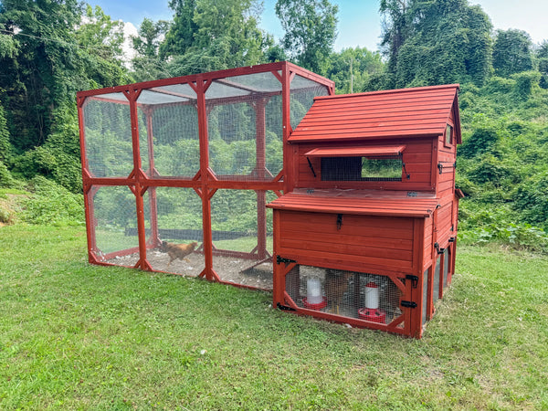 Large Chicken coop