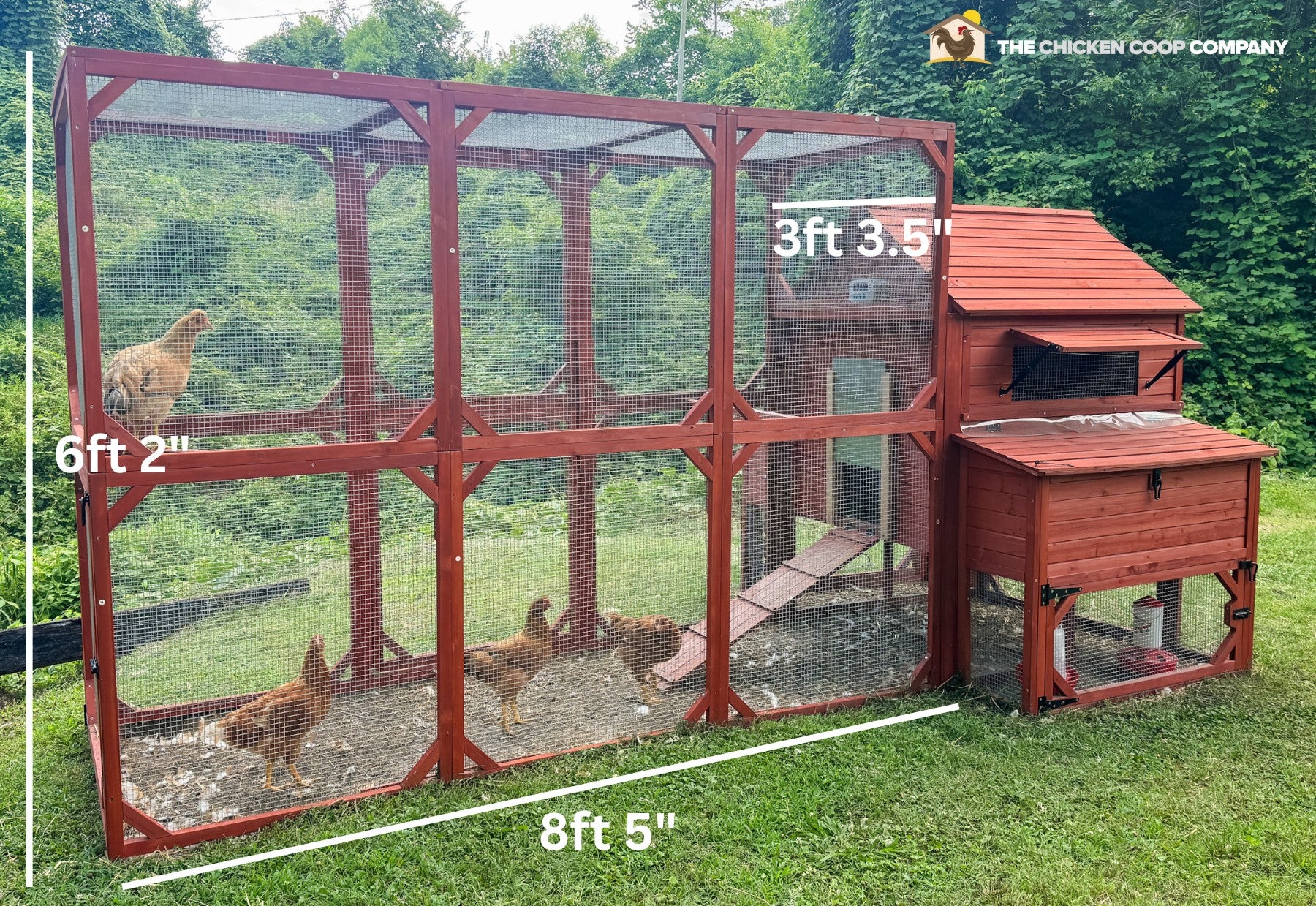 Walk In Run Measurements Chicken coop