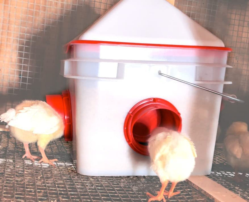White plastic poultry nest box with red entrance showing smooth surfaces for easy sanitary coop maintenance