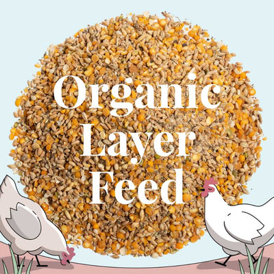 Organic Layer Feed