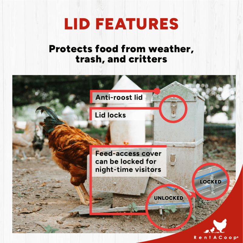 40lb Automatic Metal Treadle Chicken Feeder - Outdoor Use, Rainproof