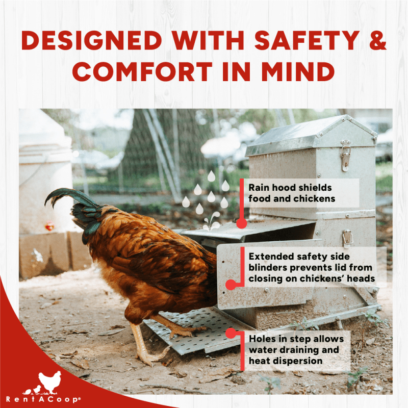 40lb Automatic Metal Treadle Chicken Feeder - Outdoor Use, Rainproof