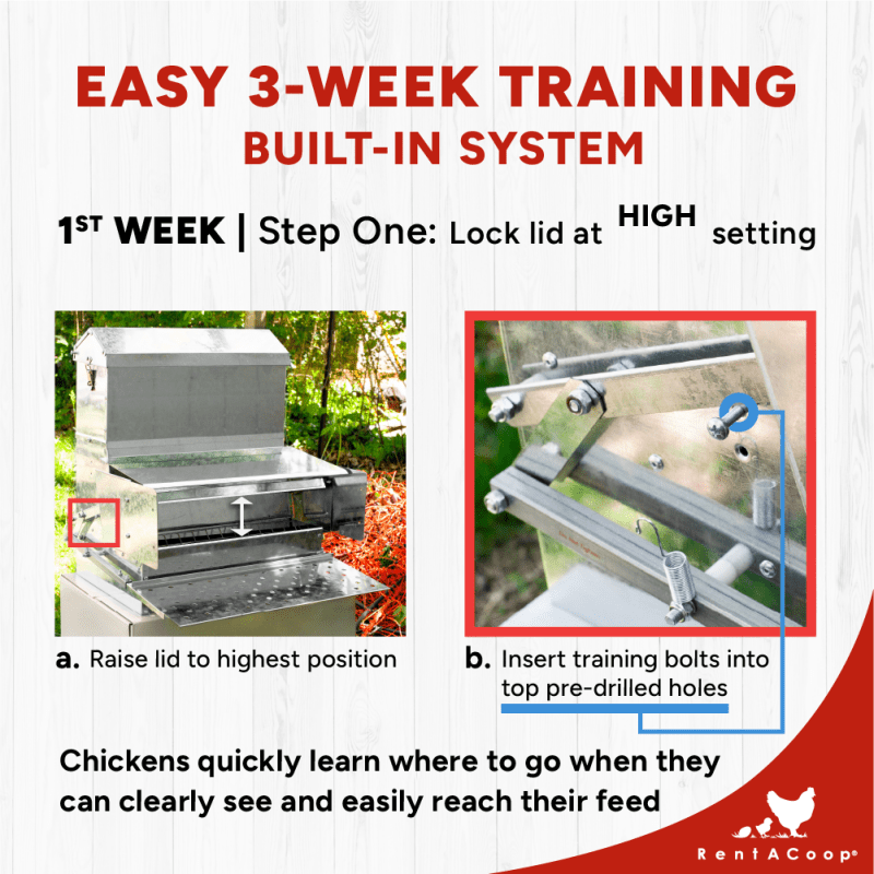 40lb Automatic Metal Treadle Chicken Feeder - Outdoor Use, Rainproof