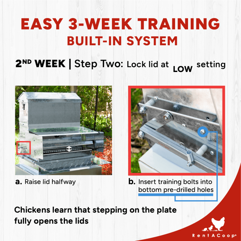 40lb Automatic Metal Treadle Chicken Feeder - Outdoor Use, Rainproof