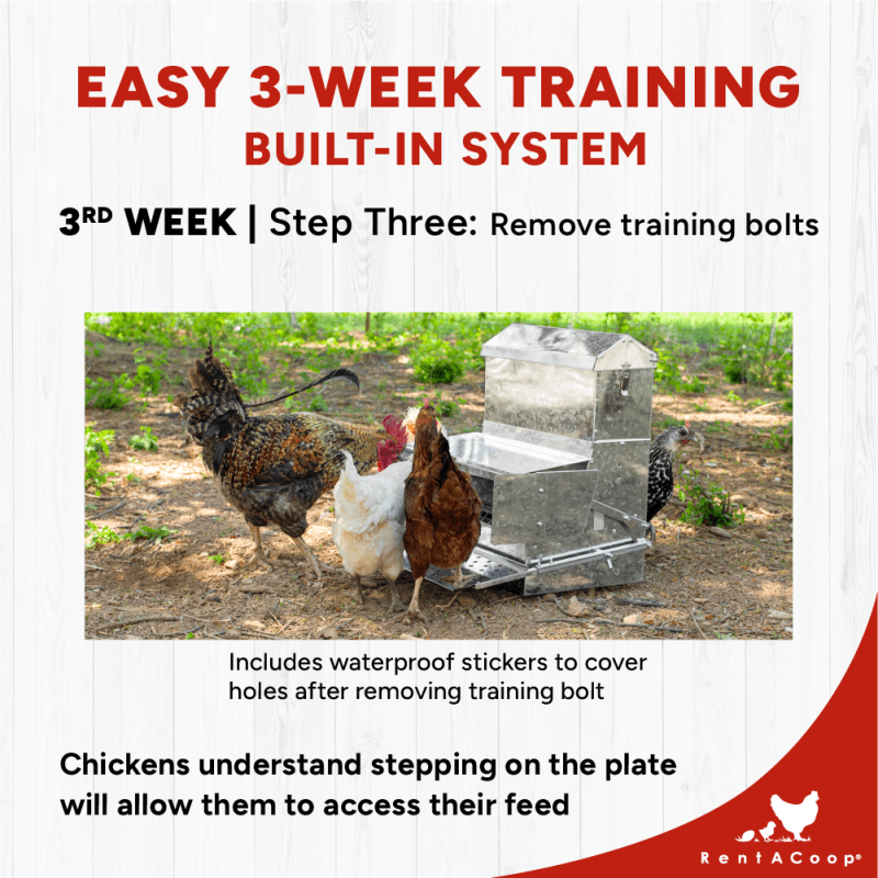 40lb Automatic Metal Treadle Chicken Feeder - Outdoor Use, Rainproof