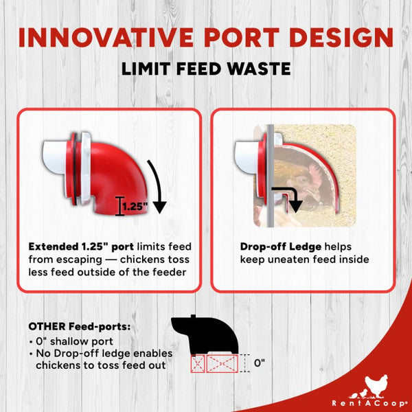 RentACoop Flock Feeder 65 6-Port Feeder