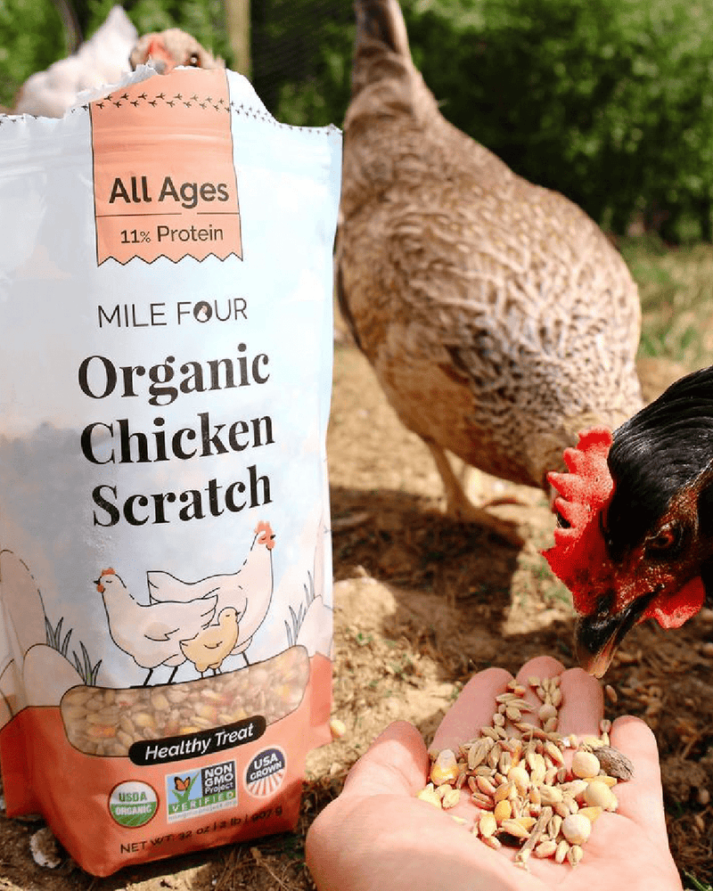 Organic Chicken Scratch is a healthy treat that your flock will come running for. Promote healthy and strong chickens, ducks or geese as this scratch is great for any waterfowl.