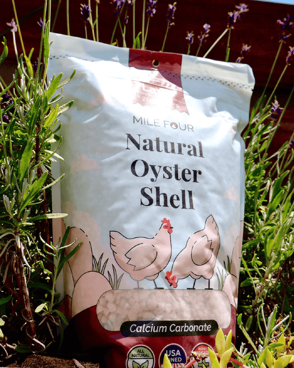 Oyster Shell is a premium source of calcium for building stronger egg shells.
