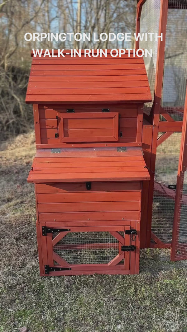 Orpington Lodge With Walk in run option