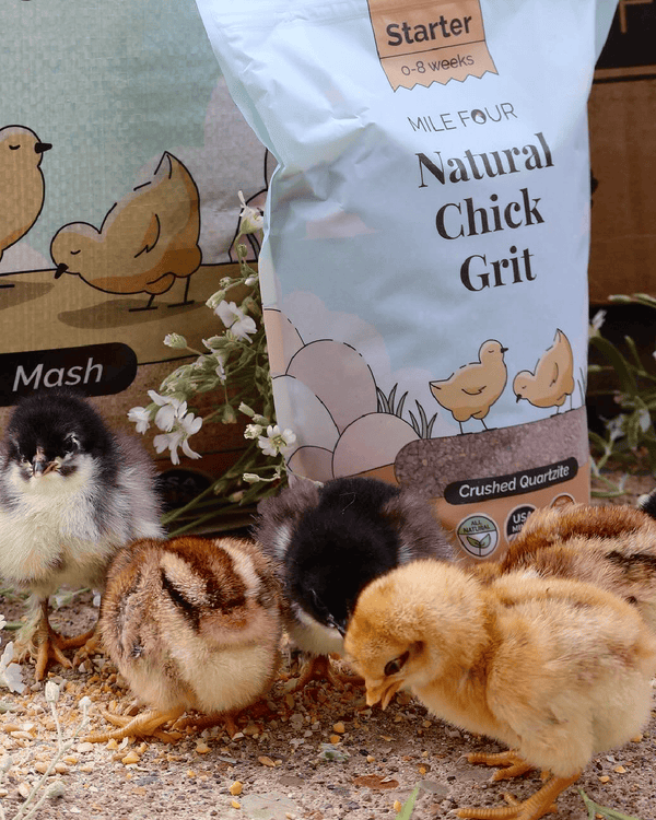 Helps break down and digest food since chickens don’t have teeth to start the process themselves.