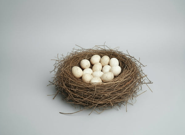 Thirteen speckled turkey hatching eggs in a twig nest; fertile Heritage turkey eggs for home incubation.