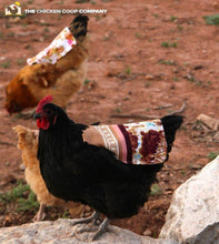 Chicken Saddles
